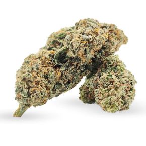 Amnesia (100g)