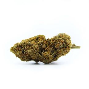 Fruit Cake (5g)