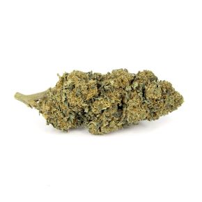 Jack Herer (100g)