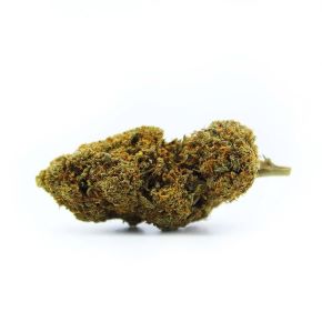 Fruit Cake (10g)