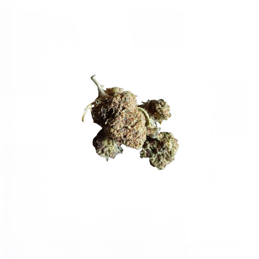 Jack Herer 20% THCX(10g)
