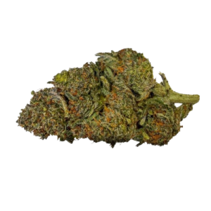 Fleur CBD Blackberry Kush premium arômes fruités mûre CBD Arnaud