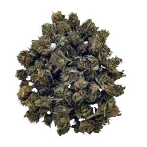 Fleur CBD Super Skunk Green House arĂŽmes terreux intenses CBD Arnaud