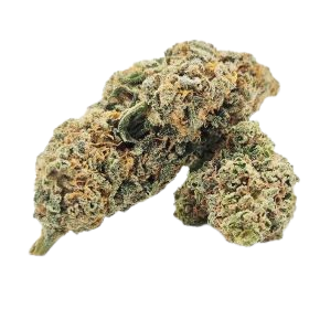 Fleur CBD Amnesia Green House arÎmes citronnés intenses CBD Arnaud