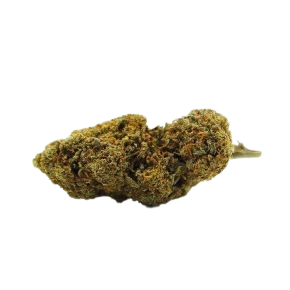 Fleur CBD Fruit Cake Glass House arômes fruités sucrés CBD Arnaud