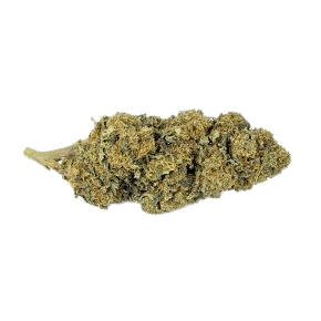 Fleur CBD Jack Herer Glass House arômes épicés boisés CBD Arnaud